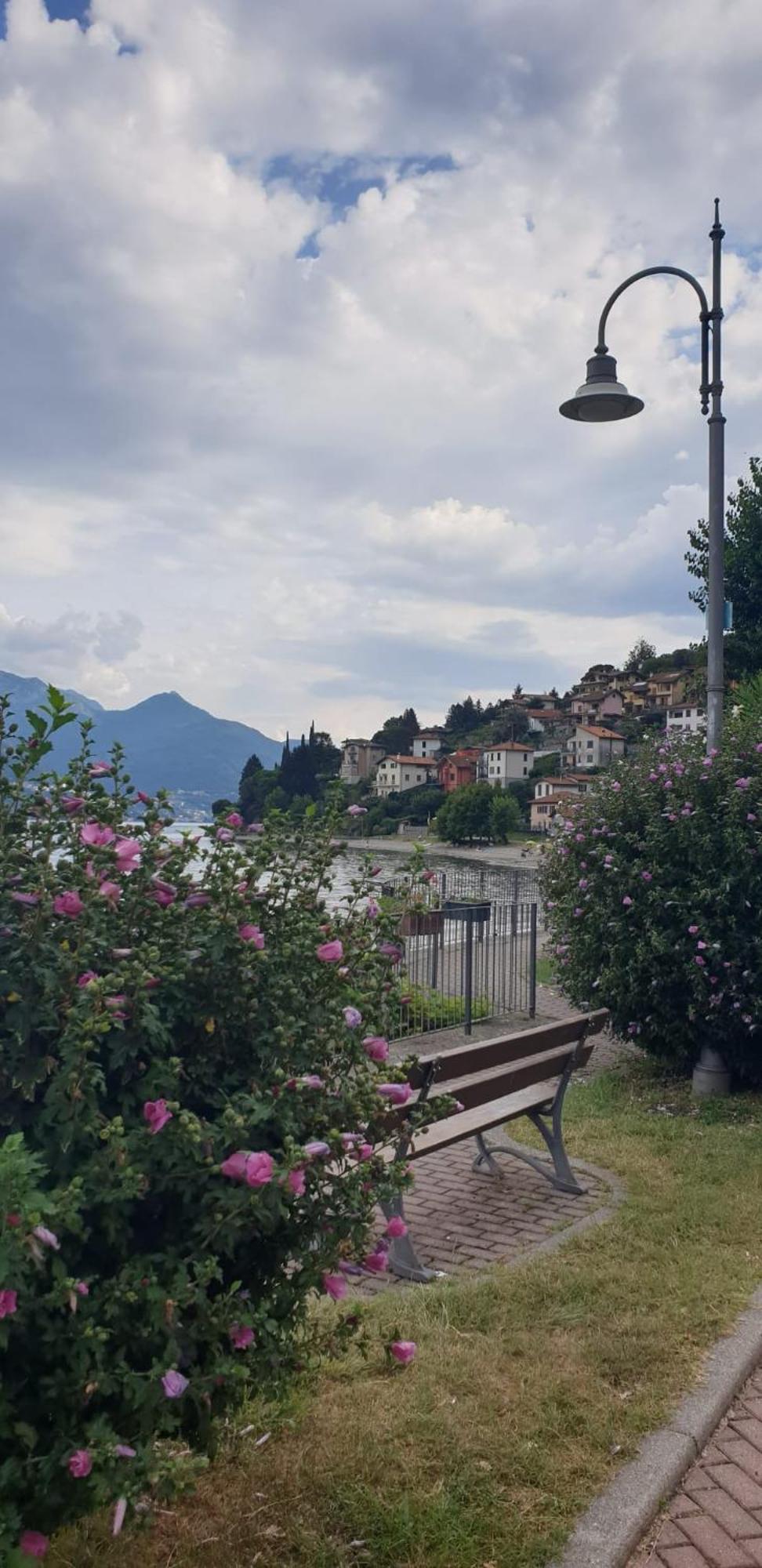 Residence Laguna Beach Pianello Del Lario Extérieur photo